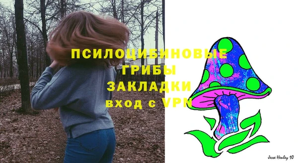 круглые Абаза