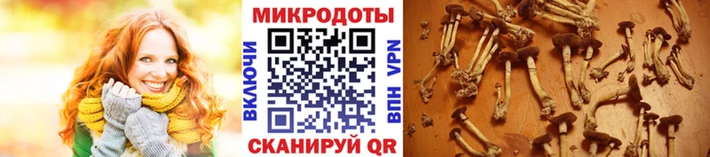 ОМГ ОМГ маркетплейс даркнет сайт Холмск Галлюциногенные грибы GOLDEN TEACHER