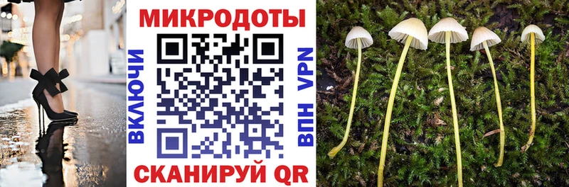 Псилоцибиновые грибы Psilocybine cubensis Холмск