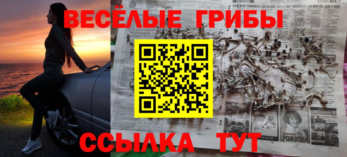 Псилоцибиновые грибы Cubensis  Вход с VPN  Холмск  Галлюциногенные грибы мицелий 